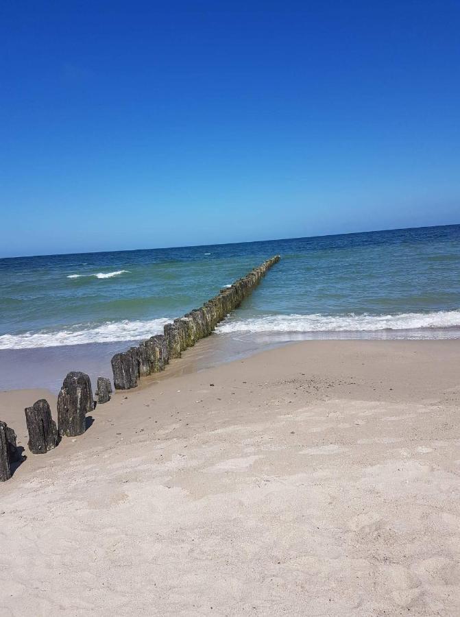 Apartament U Ewy W Kolobrzegu Podczele - 2 Sypialnie 50M2, Wifi I Darmowy Parking! Eksteriør bilde